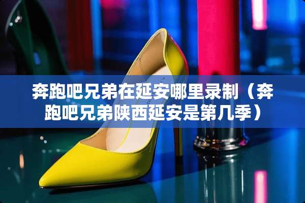 奔跑吧兄弟在延安哪里录制（奔跑吧兄弟陕西延安是第几季）
