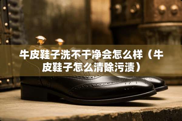 牛皮鞋子洗不干净会怎么样（牛皮鞋子怎么清除污渍）