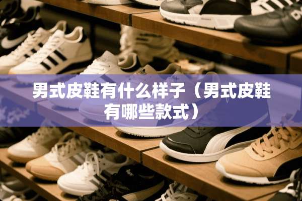男式皮鞋有什么样子（男式皮鞋有哪些款式）