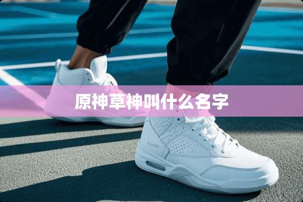 原神草神叫什么名字