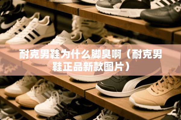 耐克男鞋为什么脚臭啊（耐克男鞋正品新款图片）