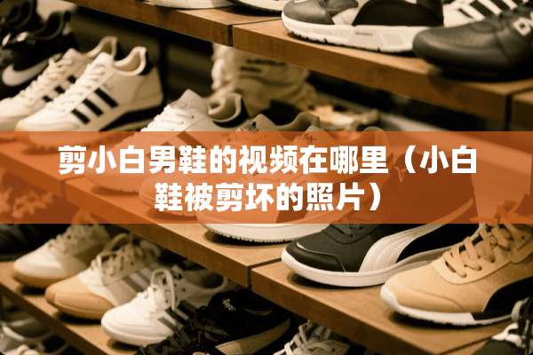 剪小白男鞋的视频在哪里（小白鞋被剪坏的照片）