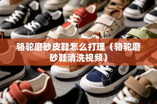 骆驼磨砂皮鞋怎么打理（骆驼磨砂鞋清洗视频）