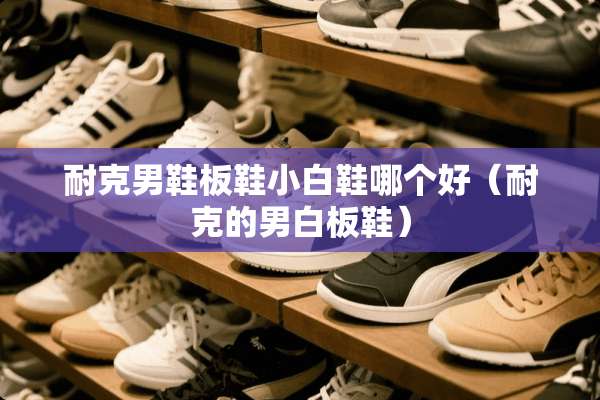 耐克男鞋板鞋小白鞋哪个好（耐克的男白板鞋）