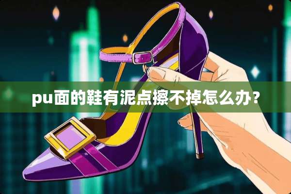 pu面的鞋有泥点擦不掉怎么办？