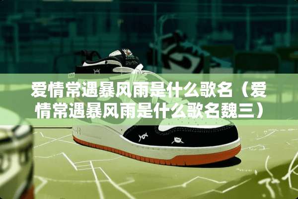 爱情常遇暴风雨是什么歌名（爱情常遇暴风雨是什么歌名魏三）