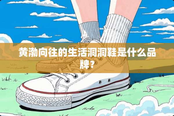 黄渤向往的生活洞洞鞋是什么品牌？