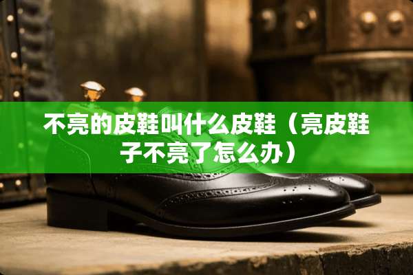 不亮的皮鞋叫什么皮鞋（亮皮鞋子不亮了怎么办）