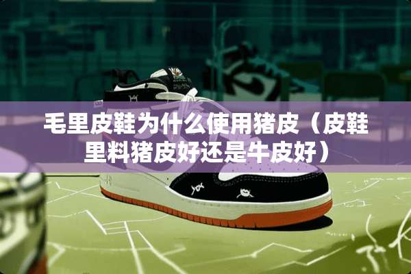 毛里皮鞋为什么使用猪皮（皮鞋里料猪皮好还是牛皮好）