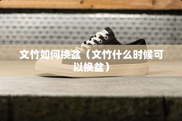 文竹如何换盆（文竹什么时候可以换盆）