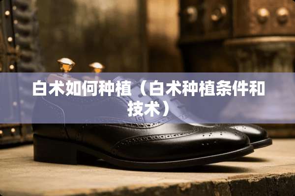 白术如何种植（白术种植条件和技术）