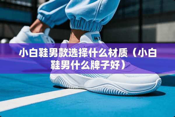 小白鞋男款选择什么材质（小白鞋男什么牌子好）