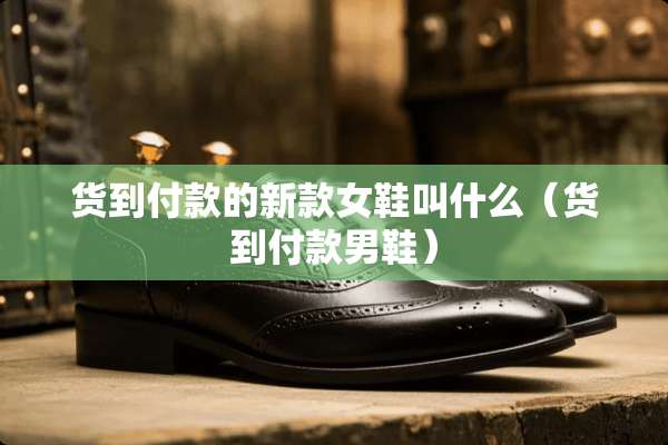 货到付款的新款女鞋叫什么（货到付款男鞋）