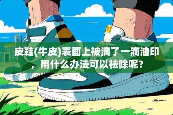 皮鞋(牛皮)表面上被滴了一滴油印，用什么办法可以祛除呢？