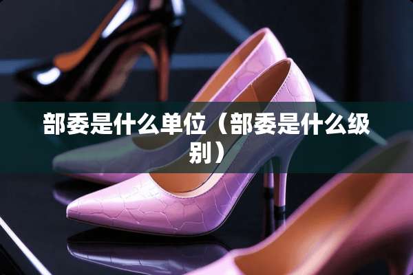 部委是什么单位（部委是什么级别）