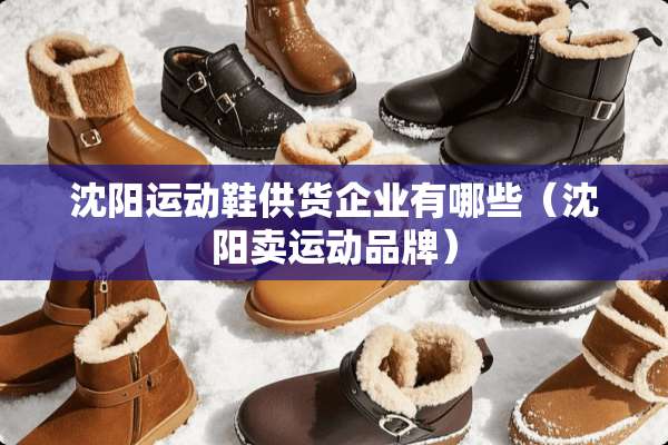 沈阳运动鞋供货企业有哪些（沈阳卖运动品牌）