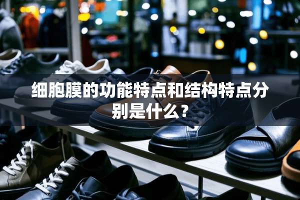 细胞膜的功能特点和结构特点分别是什么？