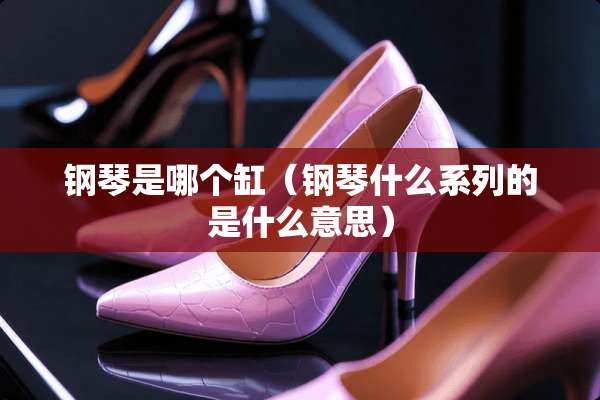 钢琴是哪个缸（钢琴什么系列的是什么意思）