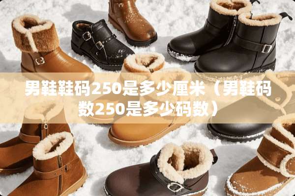 男鞋鞋码250是多少厘米（男鞋码数250是多少码数）