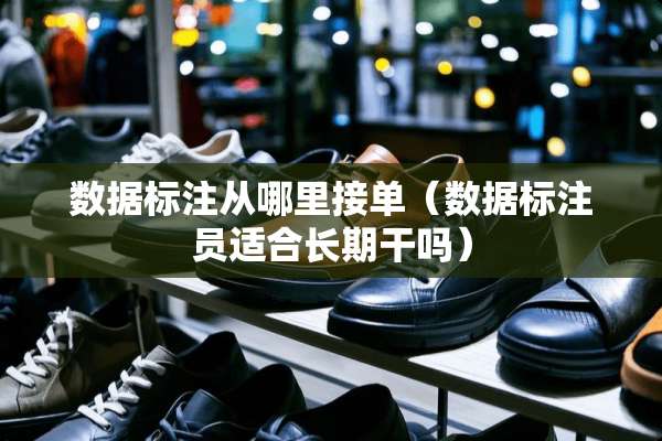 数据标注从哪里接单（数据标注员适合长期干吗）
