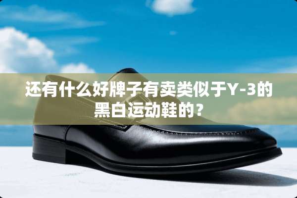 还有什么好牌子有卖类似于Y-3的黑白运动鞋的？