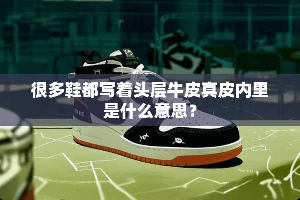 很多鞋都写着头层牛皮真皮内里是什么意思？