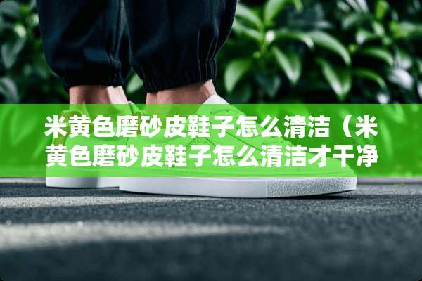 米**磨砂皮鞋子怎么清洁（米**磨砂皮鞋子怎么清洁才干净）