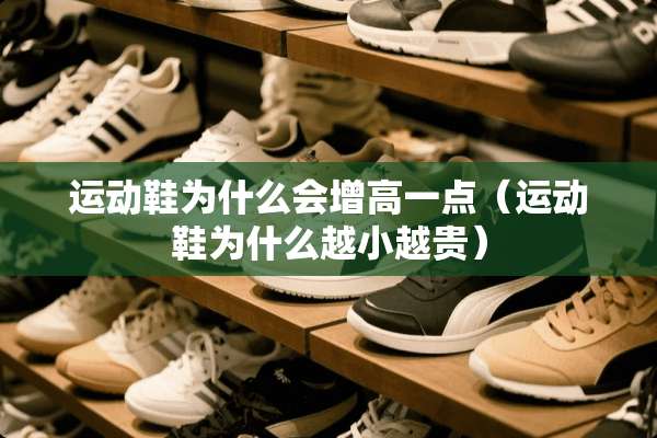 运动鞋为什么会增高一点（运动鞋为什么越小越贵）