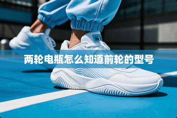 两轮电瓶怎么知道前轮的型号