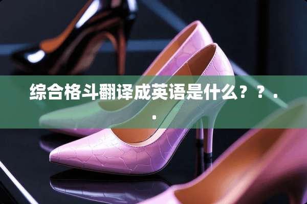 综合格斗翻译成英语是什么？？..