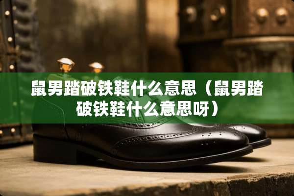 鼠男踏破铁鞋什么意思（鼠男踏破铁鞋什么意思呀）