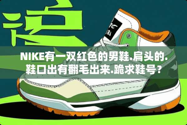 NIKE有一双红色的男鞋.扁头的.鞋口出有翻毛出来.跪求鞋号？