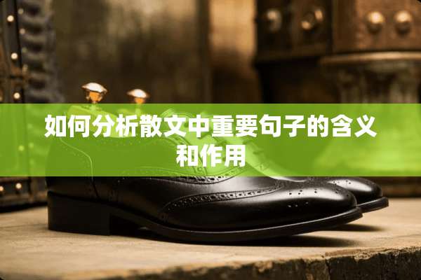 如何分析散文中重要句子的含义和作用
