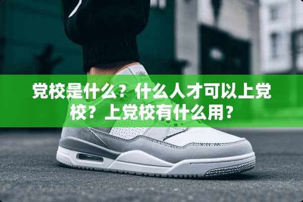 *校是什么？什么人才可以上*校？上*校有什么用？