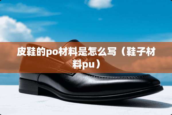 皮鞋的po材料是怎么写（鞋子材料pu）
