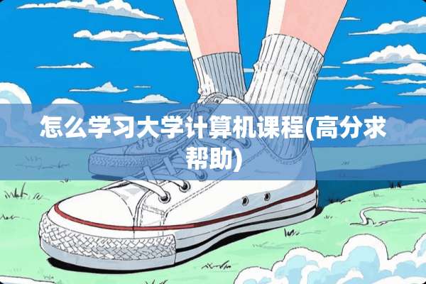 怎么学习大学计算机课程(高分求帮助)