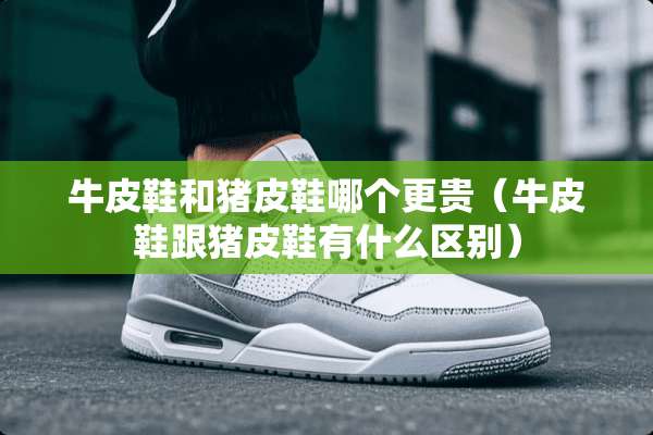 牛皮鞋和猪皮鞋哪个更贵（牛皮鞋跟猪皮鞋有什么区别）