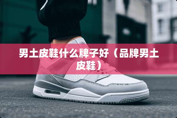 男土皮鞋什么牌子好（品牌男土皮鞋）