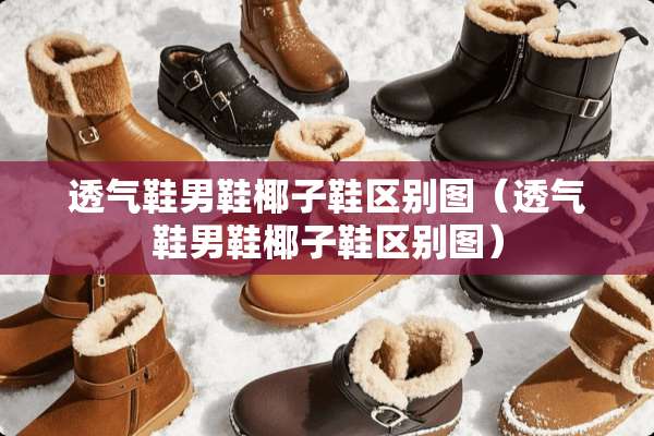 透气鞋男鞋椰子鞋区别图（透气鞋男鞋椰子鞋区别图）
