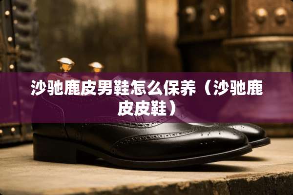 沙驰鹿皮男鞋怎么保养（沙驰鹿皮皮鞋）