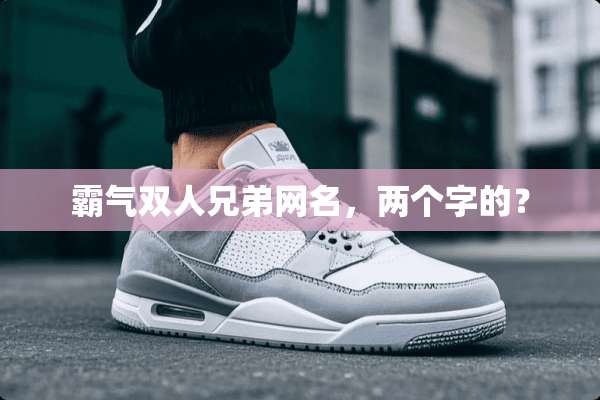 霸气双人兄弟网名，两个字的？