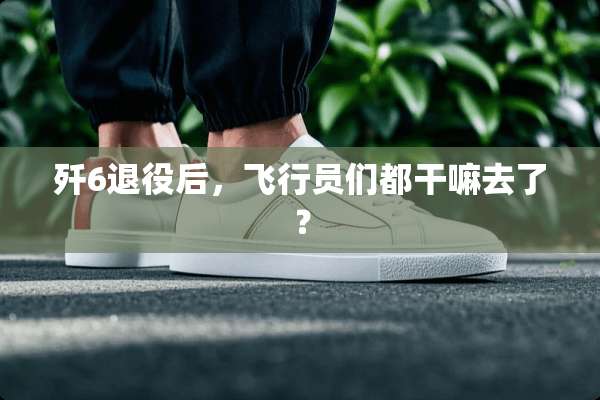 歼6退役后，飞行员们都干嘛去了？
