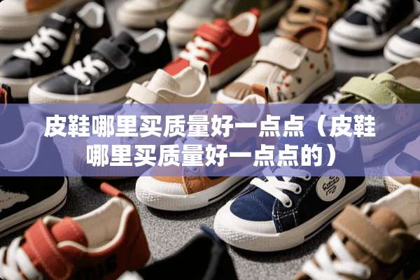 皮鞋哪里买质量好一点点（皮鞋哪里买质量好一点点的）