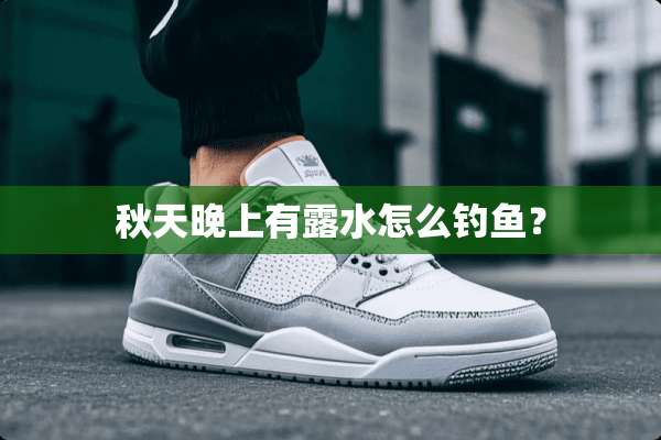 秋天晚上有露水怎么钓鱼？