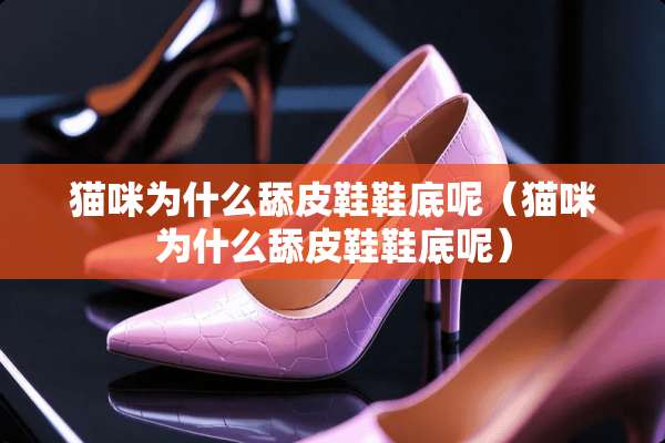 猫咪为什么舔皮鞋鞋底呢（猫咪为什么舔皮鞋鞋底呢）