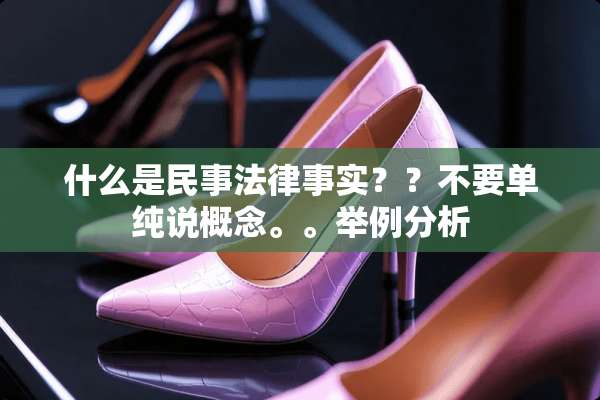 什么是民事法律事实？？不要单纯说概念。。举例分析