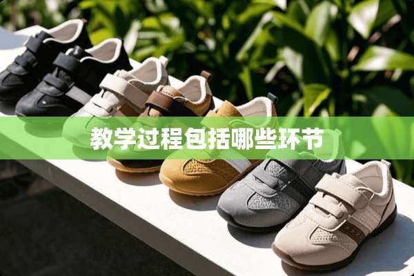 教学过程包括哪些环节