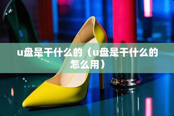 u盘是干什么的（u盘是干什么的怎么用）