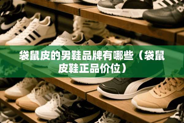 袋鼠皮的男鞋品牌有哪些（袋鼠皮鞋正品价位）