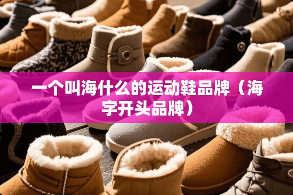 一个叫海什么的运动鞋品牌（海字开头品牌）
